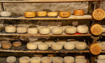 ELEGANT İTALYA AJet Hava Yolları ile 7 Gece