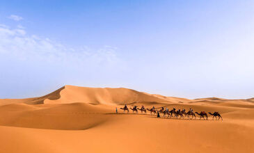 Comfort Fas & Sahra Çölü Turu (Çölde Kamp Konaklamalı) Pegasus ile 7 gece - Ekstra Turlar ve Akşam Yemekleri Dahil CMN-CMN