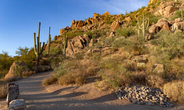 Güney Afrika Serüveni Türk Hava Yolları ile 6 Gece (CPT - JNB)